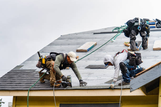 Professional Storm Damage Roof Repair technician working in Williamston, MI